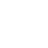 Shield trust icon